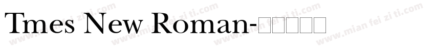 Tmes New Roman字体转换